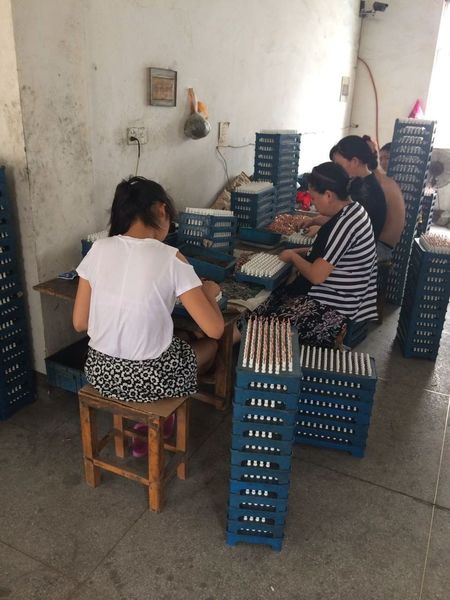 Shenzhen LuoX Electric Co., Ltd productielijn van de fabrikant